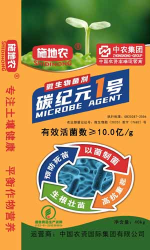 碳纪元1号